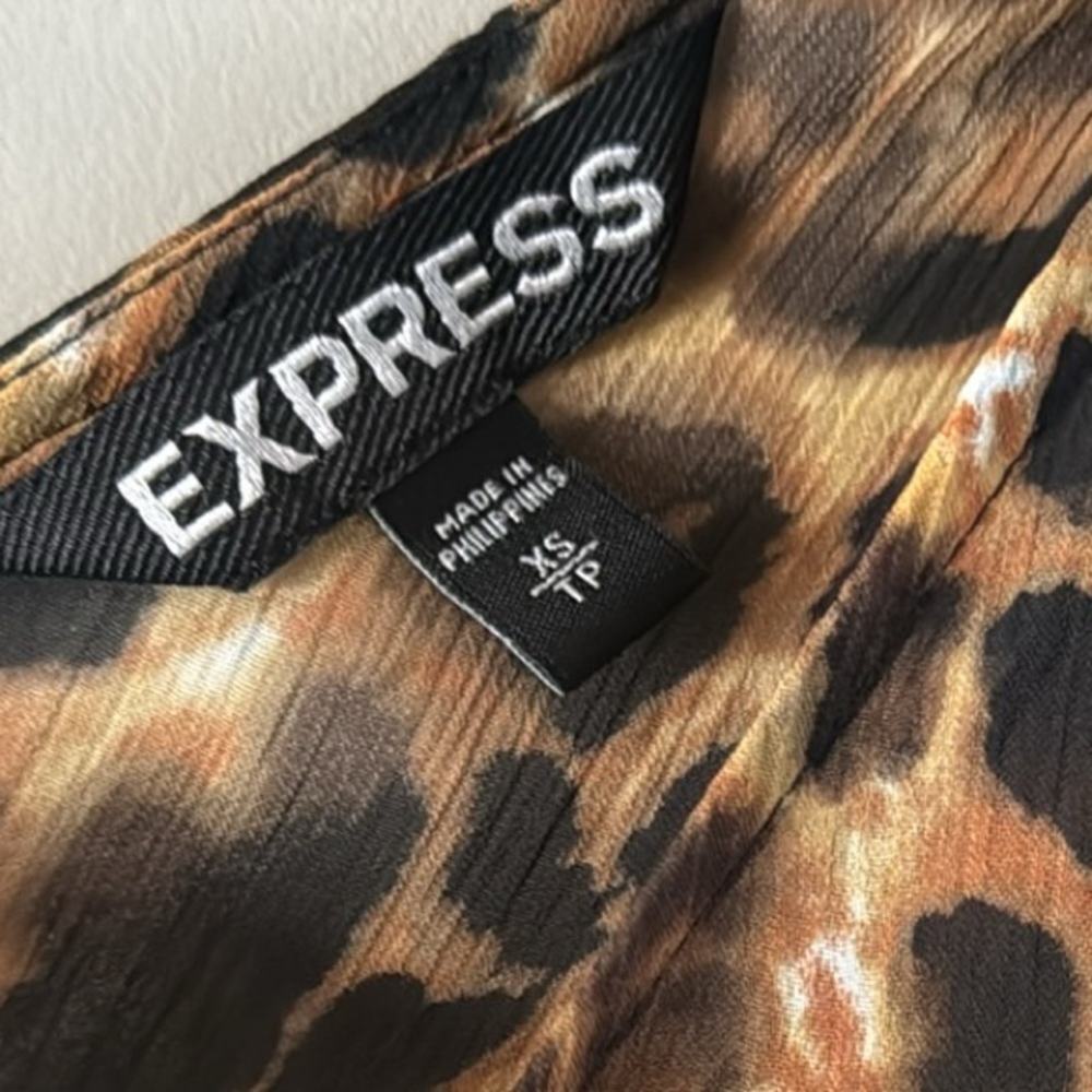 Express Sheer Lined Leopard Print Mini Dress Size… - image 3